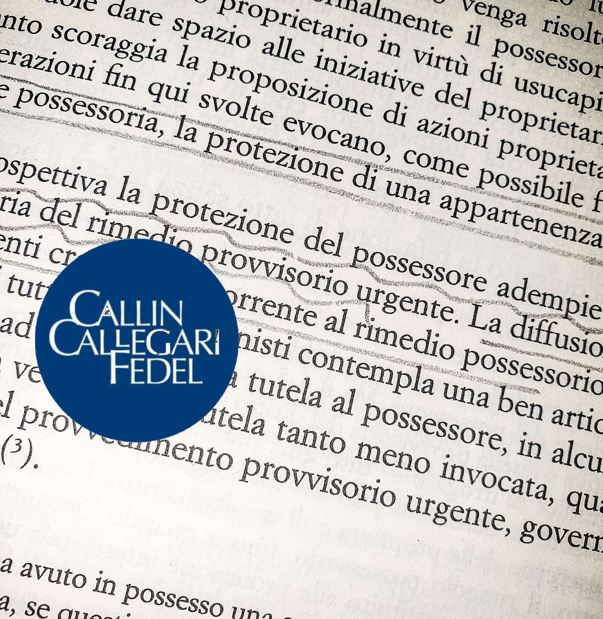 Le azioni possessorie Le azioni possessorie